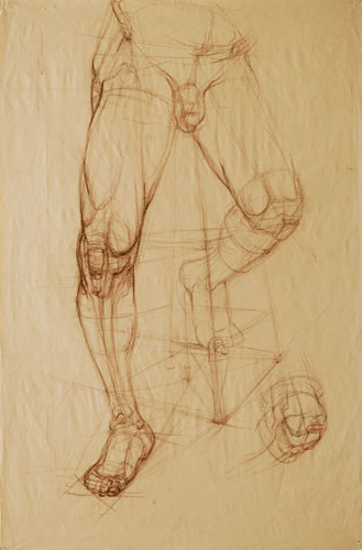 Study of a nude male, hips down  by Chris Warner 