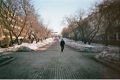 Perspective view of a man walking down a snowy tree lined cobblestone street.  There are buildings behind the trees.