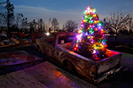 A burned pickup truck in Coffee Park. There is a lit up Christmas tree in the truck bed.
