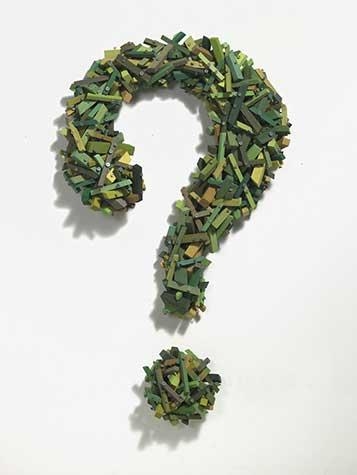 Green question mark made from wood, paint and screws by Gyongy Laky