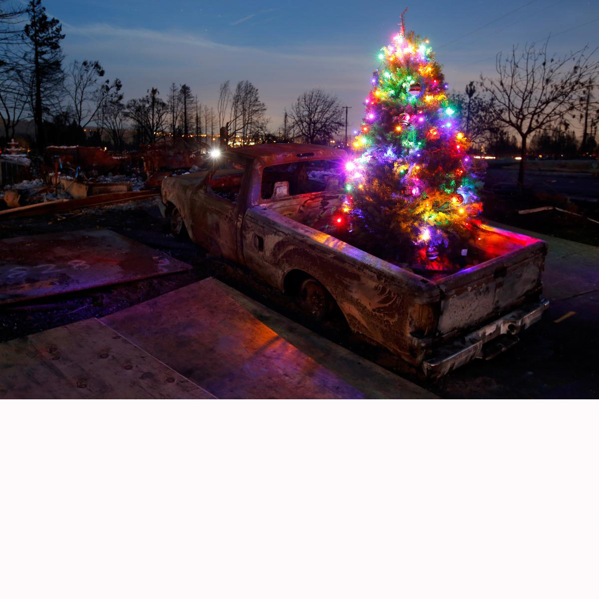 Picture of Christmas tree in a burned truck