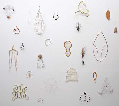 Organic objects on white background by Mari Andrews