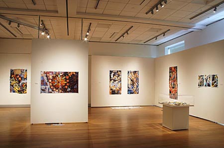 Gallery view of Donna Larsen's exhibit 