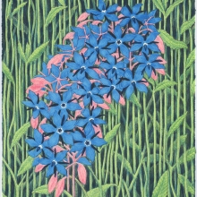 Scheuer Borage Melancholy