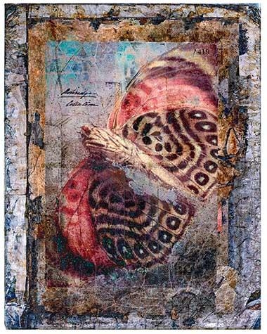 Collage with butterfly by Joseph McDonald