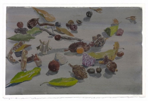 Watercolor still life of leaves and seed pods found on the forest floor